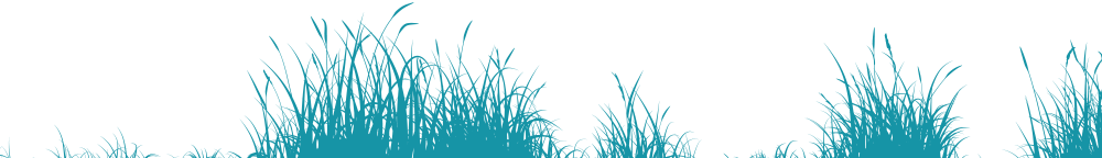 grass-blue01